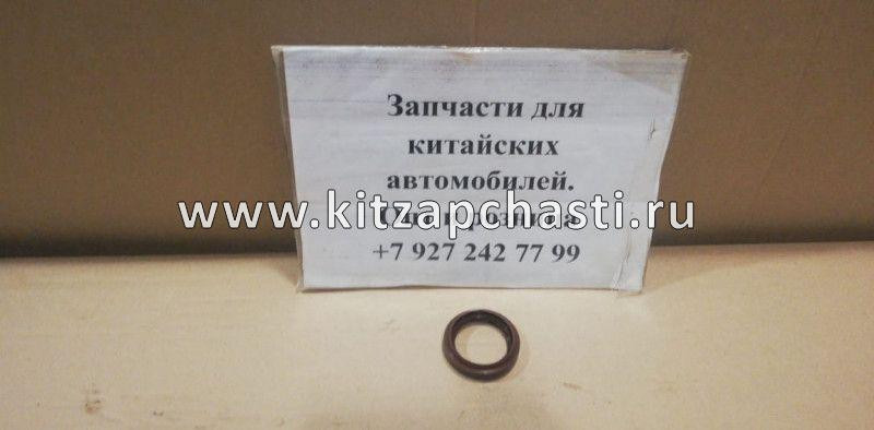 Сальник привода левый Dong Feng DFM 580 1.8 LD516MFG-17045